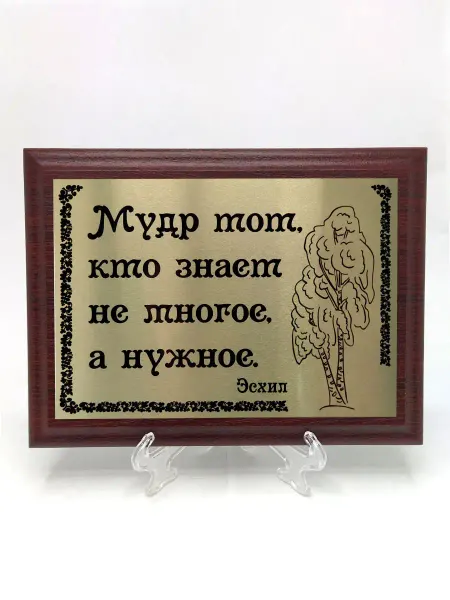 Сувенир-принт Плакетка сувенир с цитатами "Мудр не тот кто знает много"