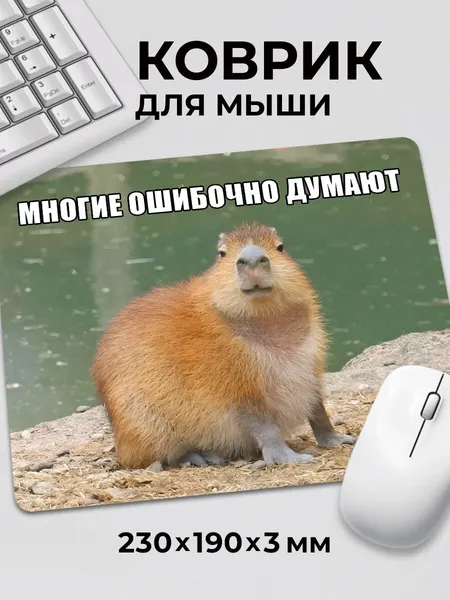 Коврик для мышки с приколом мем Капибара многие ошибочно думают, на нескользящем резиновом основании 230x190x3 мм