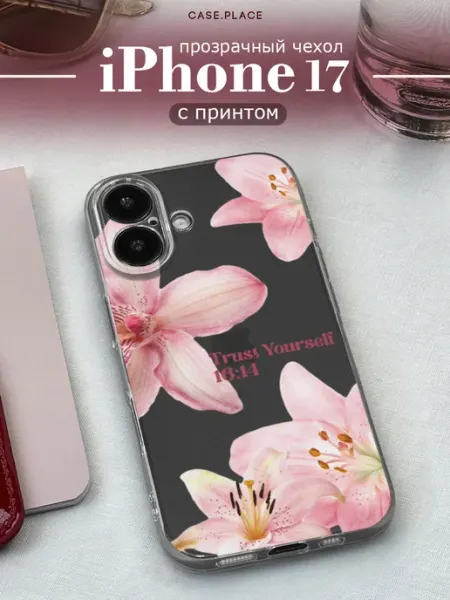 Case Place Чехол на iPhone 17 pinterest