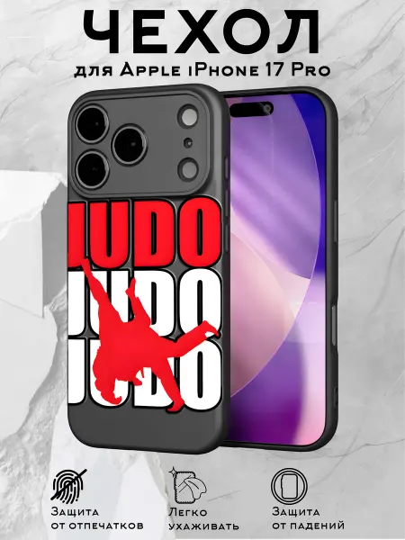 Принт-бутик Чехол на iPhone 17 Pro с принтом Дзюдо