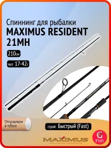 Спиннинг для рыбалки Maximus RESIDENT 21MH 2,1m 17-42g