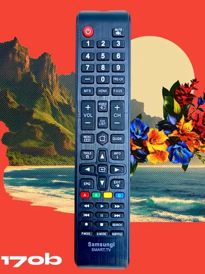 Пульт для телевизора Samsung, универсальный, 170 b