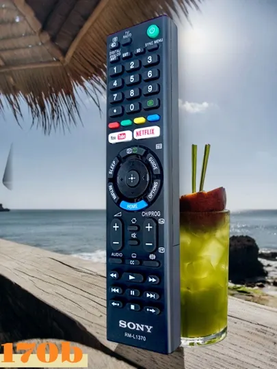 Пульт для телевизора SONY, 170 b
