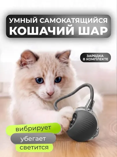 Умный самокатящийся кошачий шар