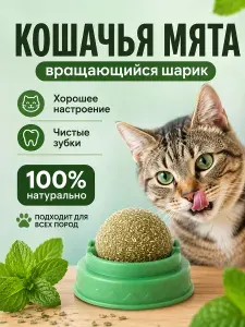 Шарик с кошачьей мятой для кошек