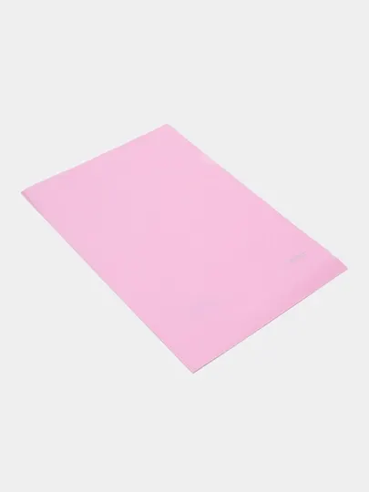 Папка-уголок Hatber Newtone Pastel Пион, пластиковая, А4 формат, 180 мкм, непрозрачная