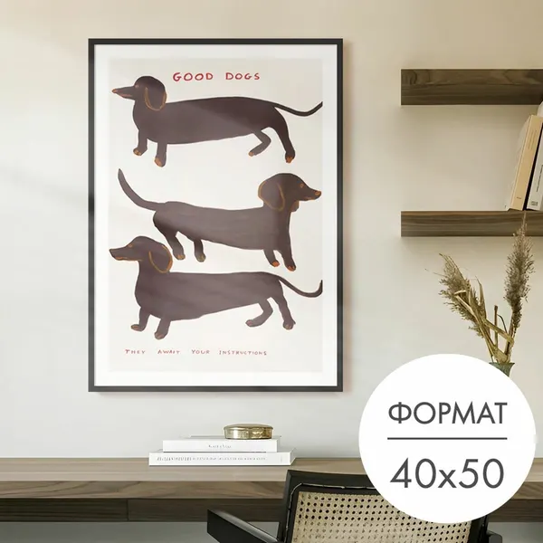 Постер "Таксы Дэвид Шригли" 40х50 без рамы, плакат на стену