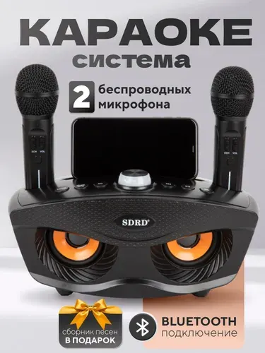 Караоке-система с двумя беспроводными микрофонами "SD-306" черная