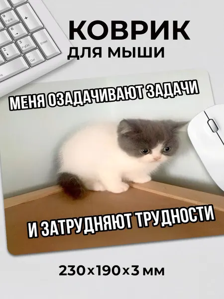 Коврик для мышки с приколом мем Милый кот задачи и трудности, на нескользящем резиновом основании 230x190x3 мм