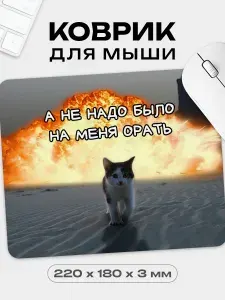 Коврик для мышки с приколом Котик не надо было орать, 18х22 см