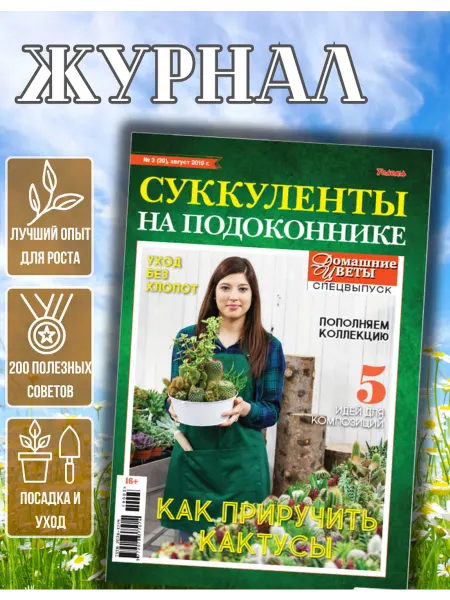 Домашние цветы журнал об уходе за Суккулентами на балконе №3 19