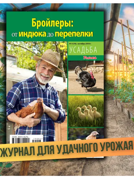 Толока. Усадьба Домашний бройлер. Курятник своими руками №4 19
