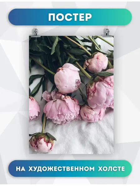 POSTERNAK Постер Цветы Пионы (19) - Flowers Peonies (19) 40х60 см