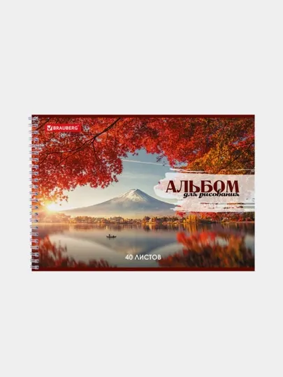 Альбом д/рис. А4 40л., гребень, обложка картон, BRAUBERG, 195х285мм