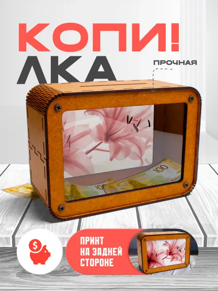 KopiCash Копилка для денег Лилии