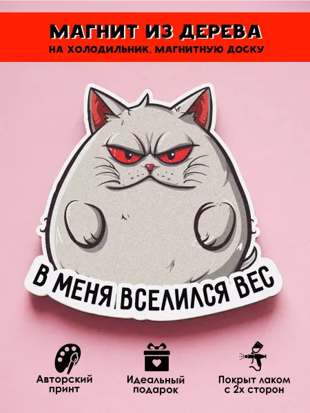 MR.ZNACHKOFF Магнит на холодильник прикольный В меня вселился вес