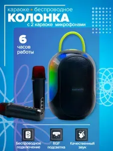 Караоке колонка детская с 2 микрофонами