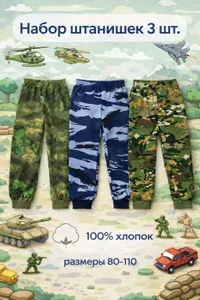 Брюки джоггеры Компания 2Т