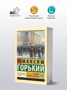 Жизнь Клима Самгина. В 2 кн. Книга 2