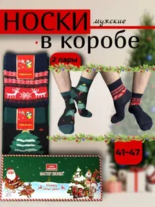 Носки мужские Новогодние хлопковые носочки, 2 пары