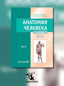 Анатомия человека: Учебник: в 2 т. Т. 2 | Сапин Михаил Романович, Никитюк Дмитрий Борисович
