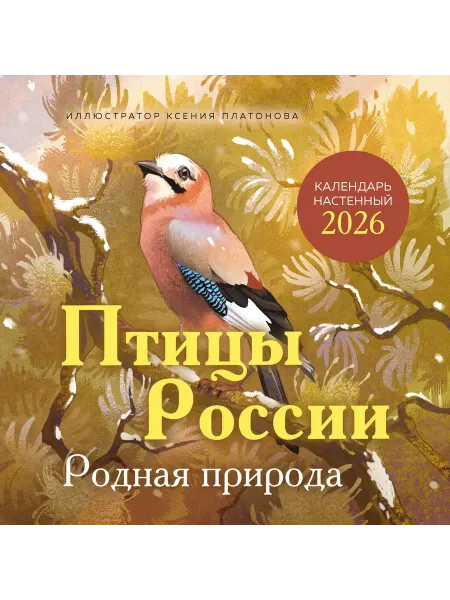 Книга Птицы России. Родная природа. Календарь настенный на 2