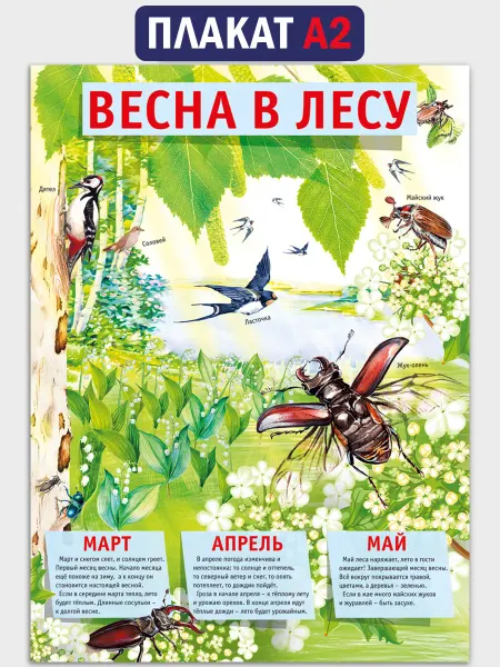ТМ Мир поздравлений Плакат "Весна" для детского сада настенный, А2
