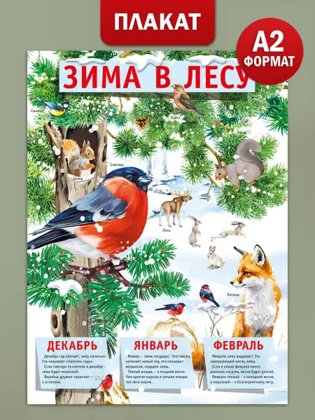 ТМ Мир поздравлений Плакат для оформления детского сада Времена года Зима А2
