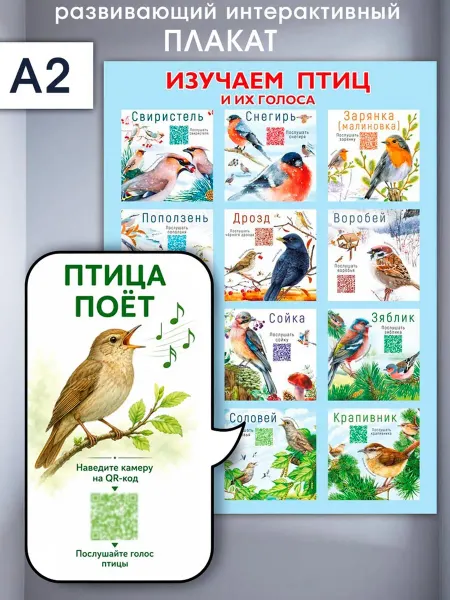 ТМ Мир поздравлений Обучающий детский плакат Птицы А2