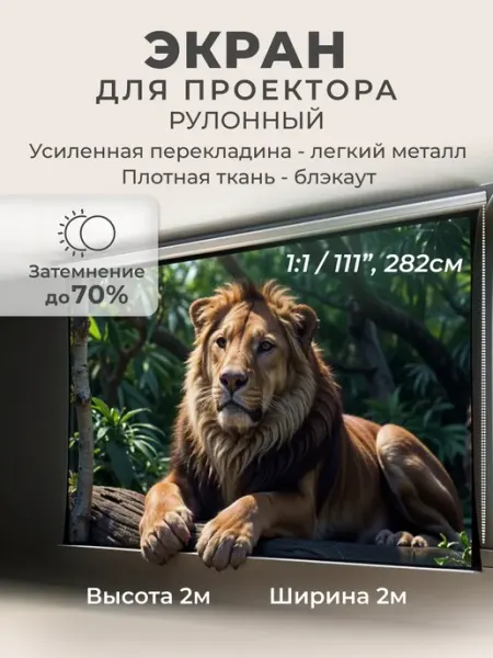 Gozhy Экран для проектора рулонный 2 х 2м