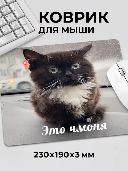 Коврик для мышки с приколом мем котик Это чмоня маленький c тканевой поверхностью, на нескользящем резиновом основании