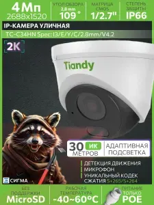 IP-камера видеонаблюдения Tiandy TC-C34HN I3/E/Y/C/2.8mm/V4.2 4Мп ИК до 30м CMOS PoE микрофон