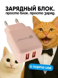Зарядное устройство 2,4A, 2 Type-A евро GP-LJ1503