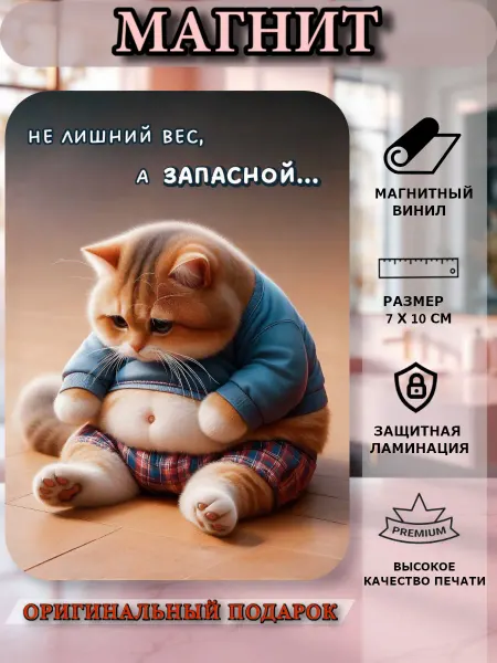 Магнит прикольный на холодильник, кот толстячок юмор