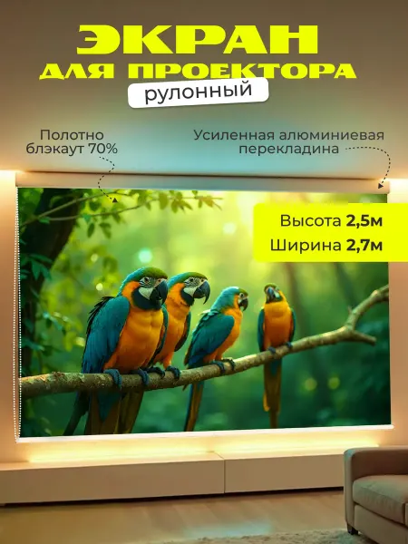 Gozhy Экран для проектора рулонный 2.5 х 2.7м