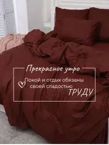Постельное белье 2 спальное (2 нав. 70х70) Полисатин, Страйп бардо
