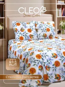 Постельное белье с апельсинами 2 спальное Cleo Dreams Color комплект наволочки 70х70