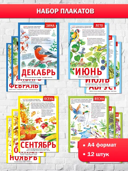 ТМ Мир поздравлений Набор обучающих плакатов Времена года для детского сада