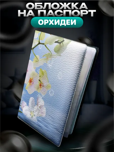 BELOUSOVОбложка для паспорта