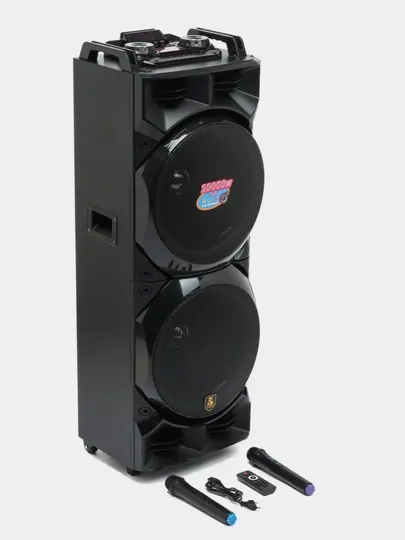 Большая акустическое система ZQS8213 с 2 караоке микрофоном и RGB подсветками
