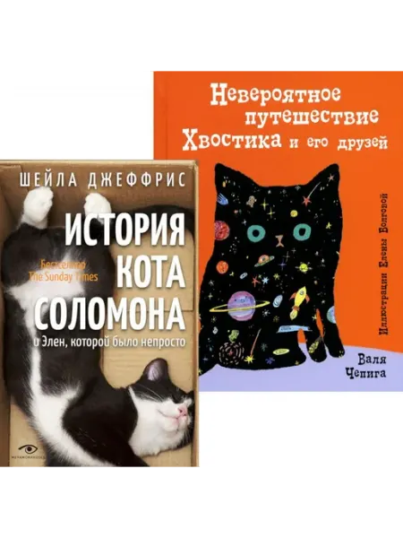 Книжный дом РФ Книги про котиков для всей семьи (комплект из 2-х книг)