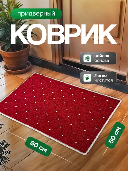 SilkCarp Коврик придверный в прихожую 50х80 см