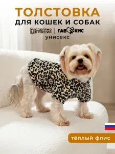 Толстовка для собак мелких пород