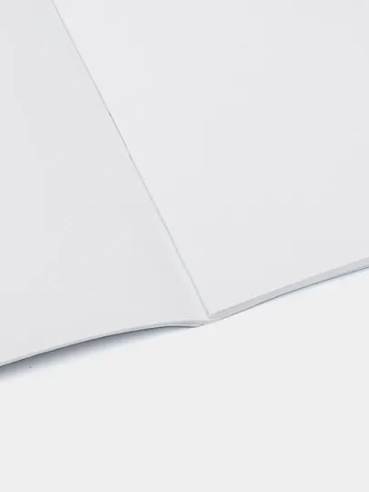 "ECO" Альбом для рисования, 20 листов А4, на скобе, серия 20А4C-ИскусствоБукета q0000050218