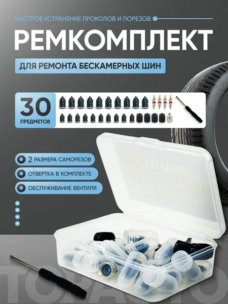 Ремкомплект, набор для ремонта бескамерных шин TOPAUTO, 20 саморезов, 4 золотника