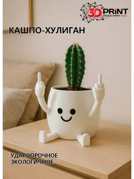 Кашпо Хулиган