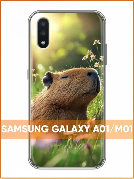 Case Face Чехол на Samsung Galaxy A01 с принтом Капибара
