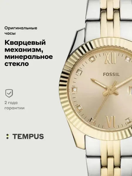 Fossil Часы Scarlette Mini ES4949