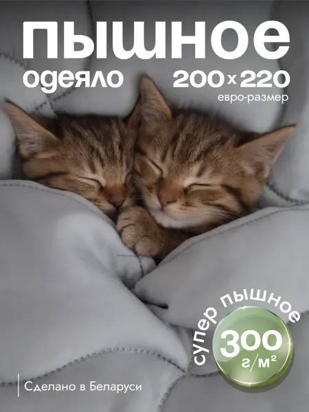 AMI Одеяло очень пышное 200х220 теплое