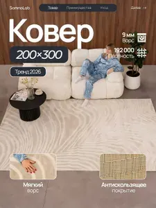 SomnoLab Ковер 200х300 см комнатный с ворсом 9 мм